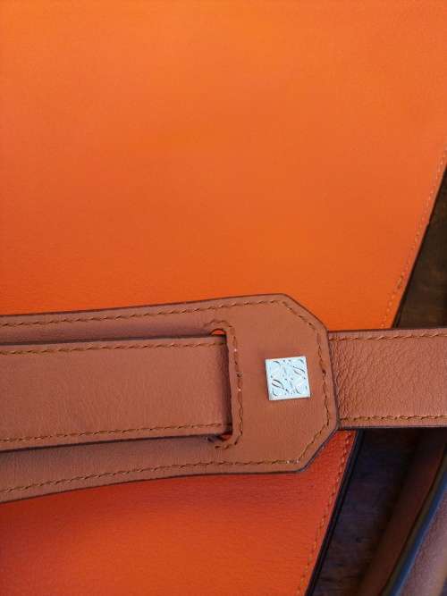 Loewe Lost Dog Multicolour (John Allen collection) Bag