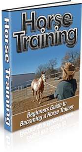 Horse Training - Beginners Guide