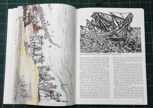 Willcox, 'Shipwreck and Survival on the South-East Coast of Africa'