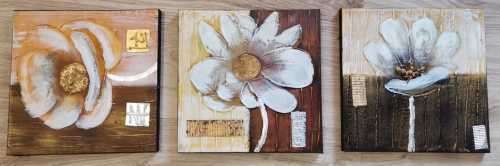 3 Beautiful canvas Frames