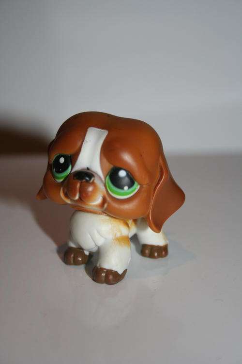 Littlest Pet Shop St Bernard