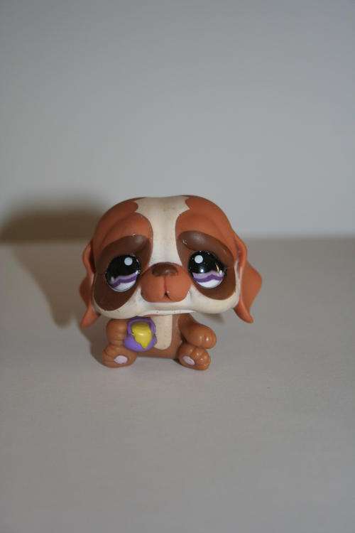 Hasbro Littlest Pet shop