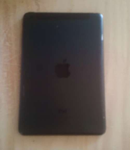 Mini IPad  (Please Read )