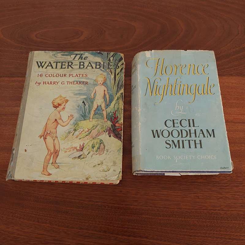 Vintage Books Lot Florence Nightingale and the Water babies
