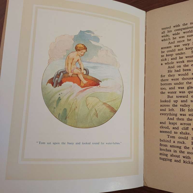 Vintage Books Lot Florence Nightingale and the Water babies