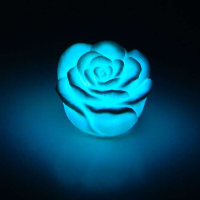 led roase