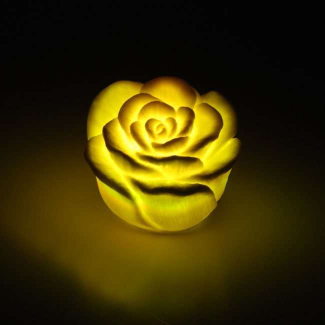led rose