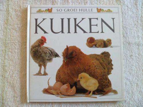 So Groei Hulle - Kuiken - Foto's deur Jane Burton