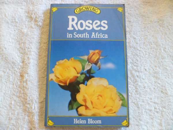Growing Roses in South Africa - Helen Bloom