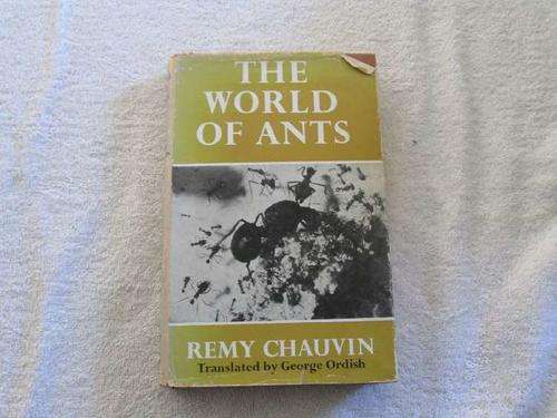 The World of Ants - Remy Chauvin