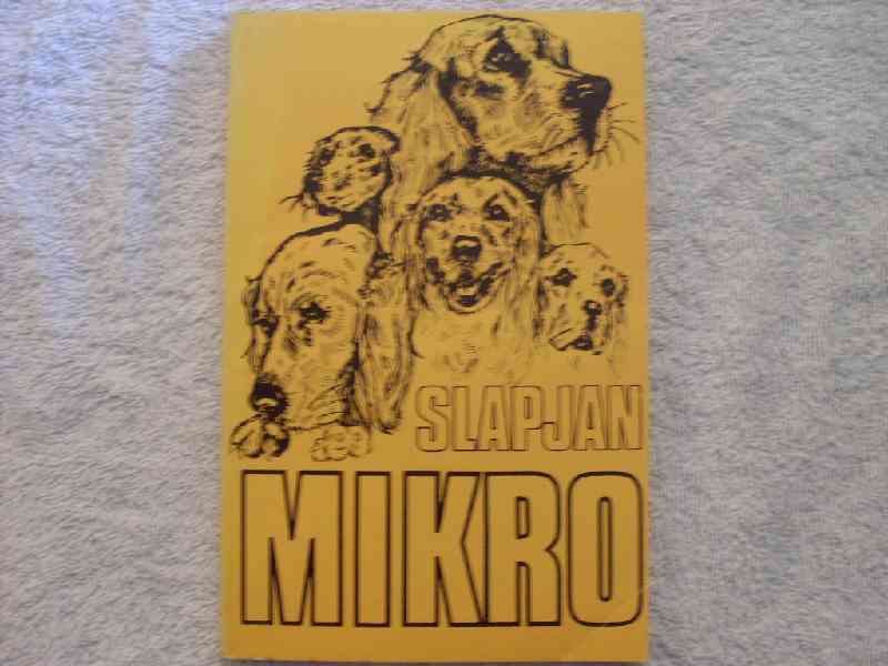 Slapjan - Mikro