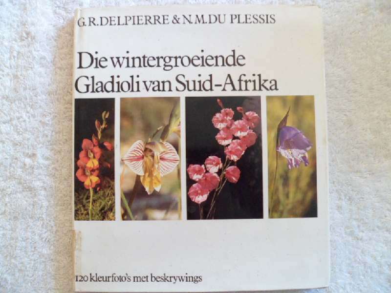 Die Wintergroeiende Gladioli van Suid Afrika