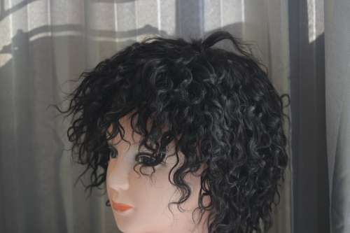 Brazilian virgin  short curly wig/8A/300g/dark maroon**Free shipping**