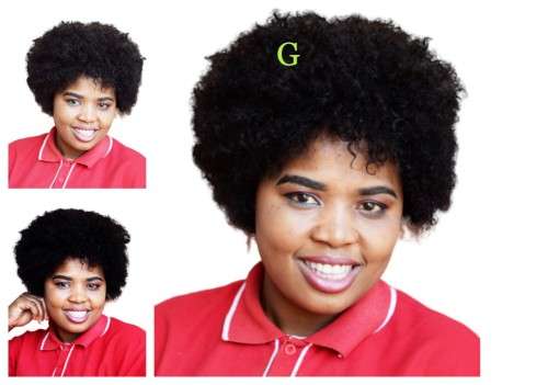 Remy Human Hair Wigs - Various Styles