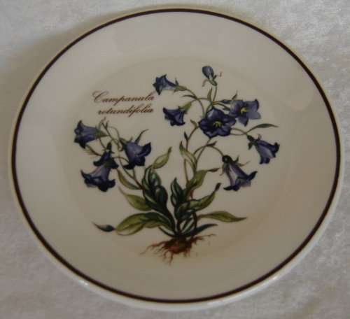 VILLEROY & BOCH - BOTANICA - WALL PLATE