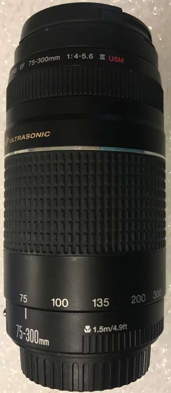 CANON  LENSE 75-300mm 4-5.6 III USM IN GOOD WORKING CONDITION