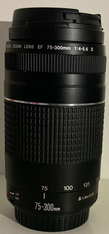 Canon Lens 75-300mm F4-5.6 III IN Good workINg Condition