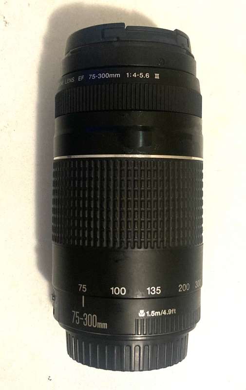 Canon Lens 75-300mm III USM GOOD Condition