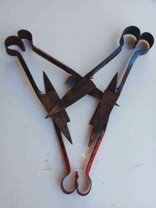 Vintage sheep sheers / 3 pair, good working condition. Well used.