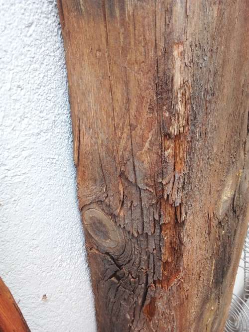 Antique ( Circa 1900) ZAR wood railroad sleeper with original ZAR Bolt attached to it.