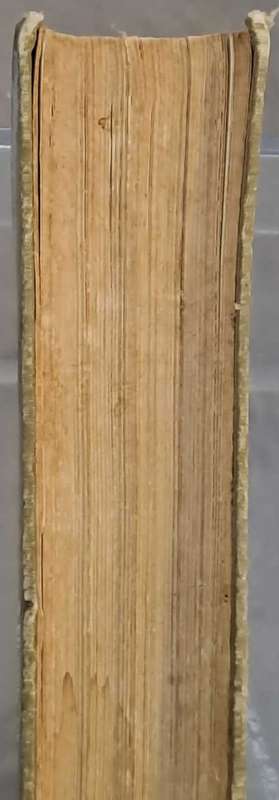 Mrs Beetons Everyday Cooking and Housekeeping book. 1890