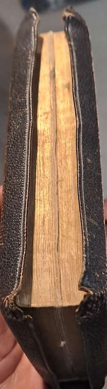 Small 20cm x 15 cm / 1909 Staten Generaal Bijbel with leather cover.