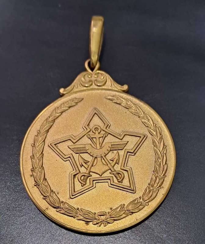 Suid Afrikaanse Weermag medalje. Very scares.
