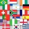 8 x Flags - S.African + 7 countries - 90x60cm - with firm 16mm x 1m poles