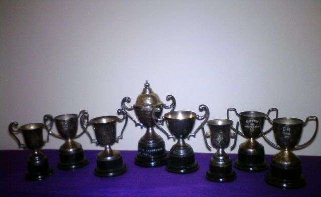 Collection of 8 Small Silver Plated Trophies (egg cup size)