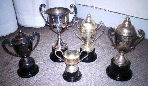 5 Small Trophies - Heights from 7cm to 14cm