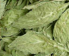 Salvia Divinorum Leaves 1g Free Shipping
