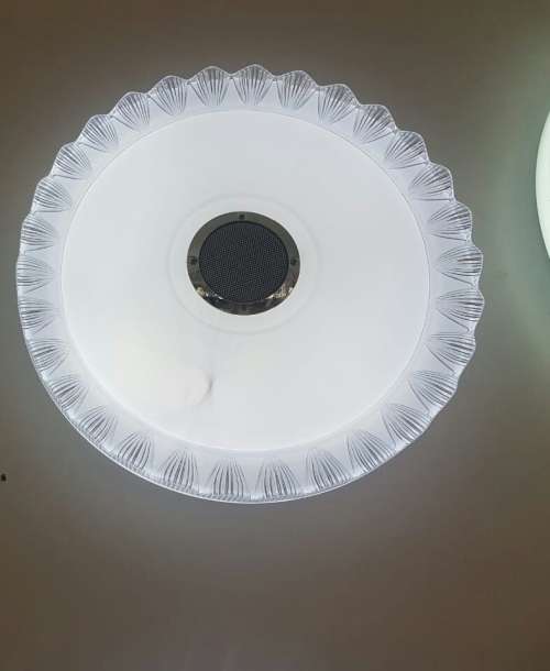 Bluetooth Ceiling light