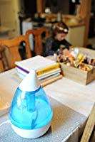 Humidifier for home/office/vehicle