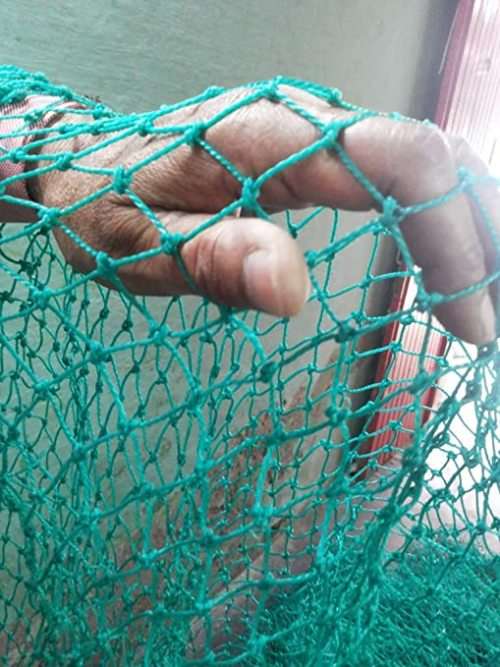 fish net