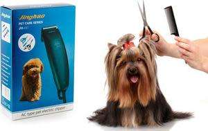 pet care