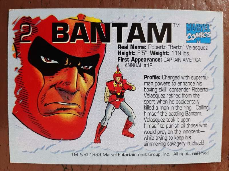 Marvel 1993 Annuals super hero 2, Bantam