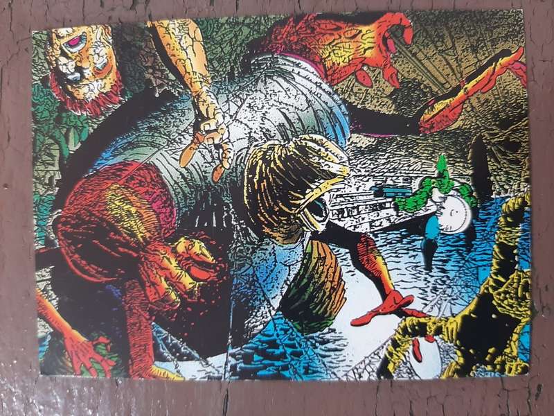 The Savage Dragon #59, The Arachnid