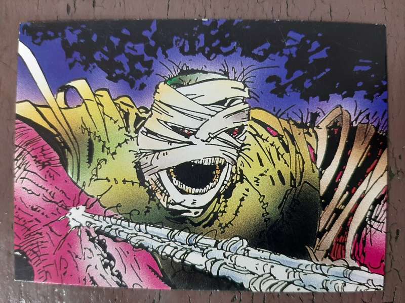 The Savage Dragon #60, Spun