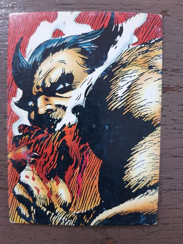 Wolverine `From then `til now` #23, Wild Beast