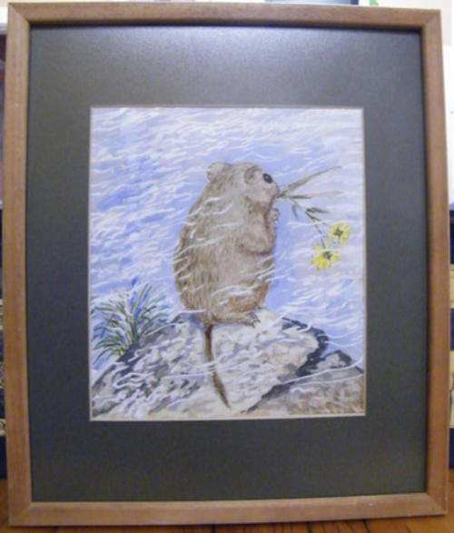 Jeff Huntly - SA Wildlife Artist - Original Watercolour of an Ice Rat- VALUABLE ART- R1 N/R!!!