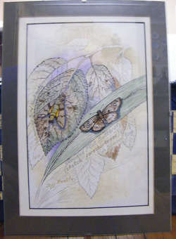 Jeff Huntly - SA Wildlife Artist - Watercolour of a Moth & Butterfly - VALUABLE ART- R1 N/R!!!