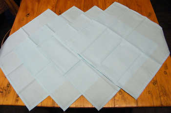 Set of 4 Cotton Napkins (40cm square) - As new, Never Used  -ex Decor Shop - LOvely!!!