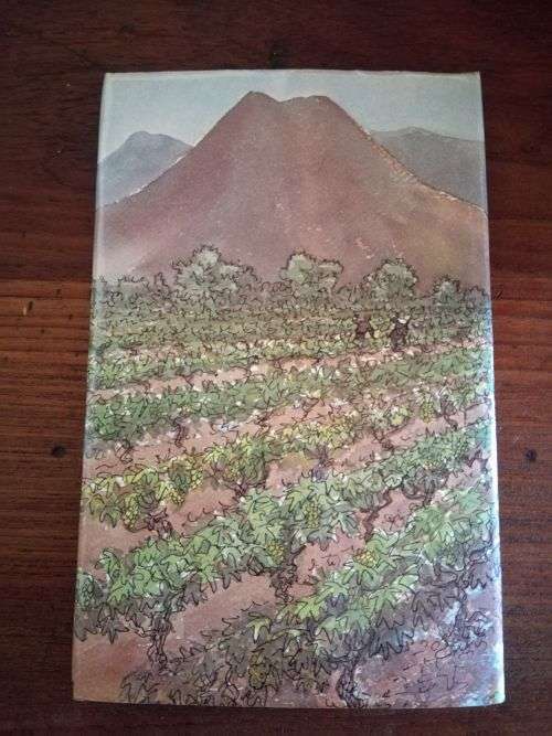 THE HUGUENOT STORY - Juliet Marais Louw