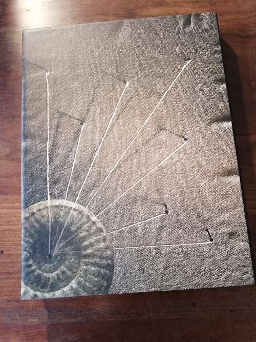 LIFE ETCHED IN STONE - Colin MacRae