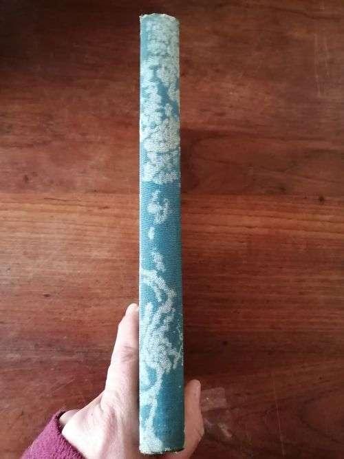 THE JOURNAL OF DR JAMES BARRY - Olga Racster and Jessica Grove