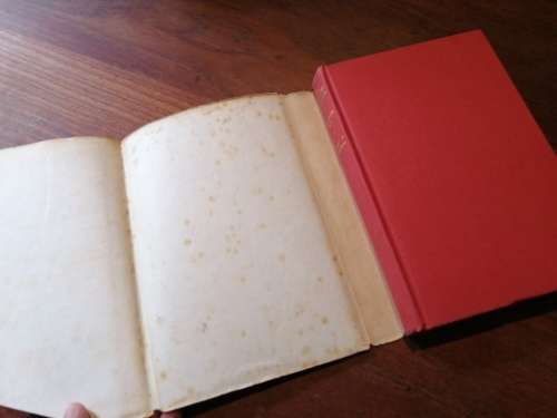 MR CHURCHILL`S SECRETARY - Elizabeth Nel *signed