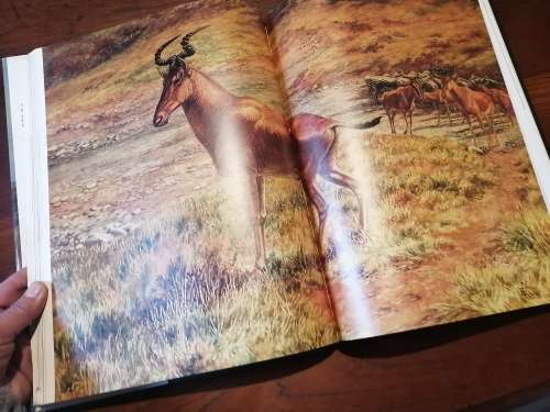 THE CONSERVATIONISTS AND THE KILLERS - John Pringle *signed