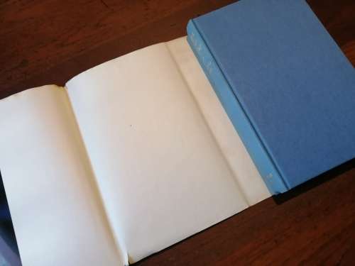 SAGA OF THE NIGER - Richard Owen
