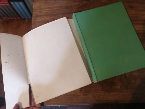 WILD FLOWERS OF THE CAPE OF GOOD HOPE - Elsie Garrett Rice and Robert Harold Compton