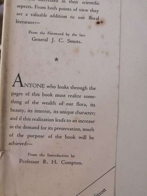 WILD FLOWERS OF THE CAPE OF GOOD HOPE - Elsie Garrett Rice and Robert Harold Compton